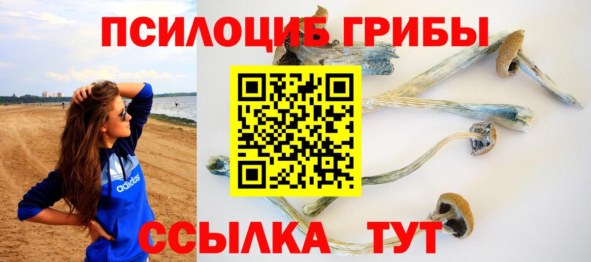 Санкт-Петербург  Галлюциногенные грибы ЛСД  сколько стоит  Вход с VPN  Галлюциногенные грибы мухоморы 